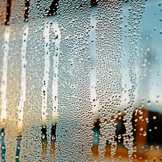 Roof Lantern Condensation: Causes & Solutions